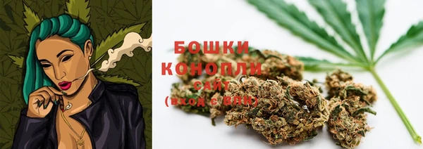 амф Бронницы