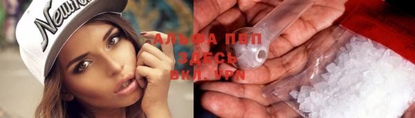 амф Бронницы