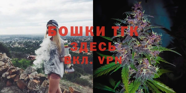 амф Бронницы