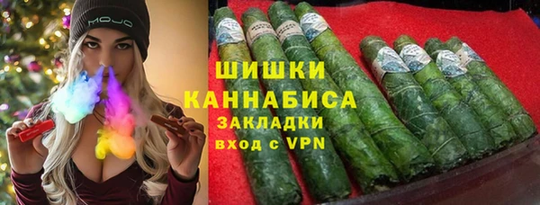 амф Бронницы