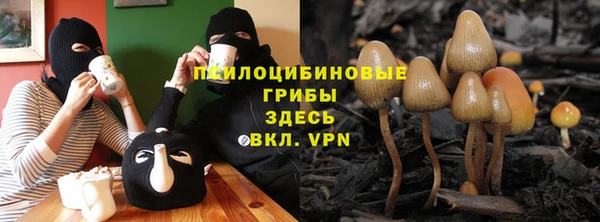 марки nbome Бородино